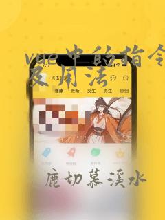 vue中的指令及用法