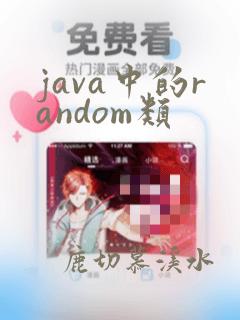 java中的random类
