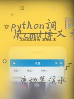 python调用cmd传入参数