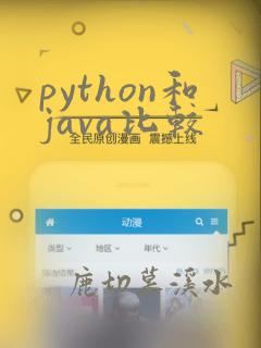 python和java比较