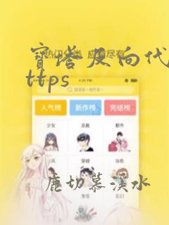 宝塔反向代理https