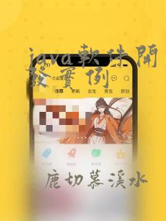 java软件开发实例