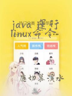 java 运行linux命令