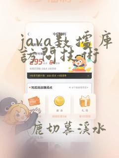 java数据库访问技术