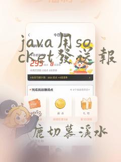 java用socket发送报文
