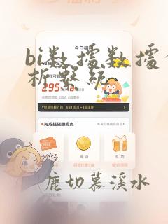 bi数据数据分析系统