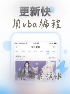 用vba编程