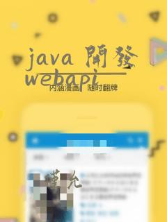 java 开发webapi