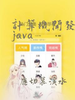 计算机开发软件java