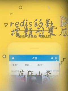 redis的数据类型及应用场景