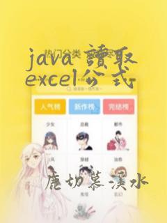 java 读取excel公式