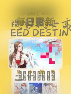机动战士高达SEED DESTINY ASTRAY