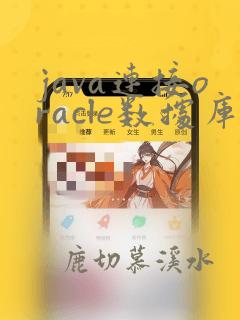java连接oracle数据库配置
