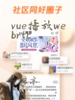 vue播放webrtc
