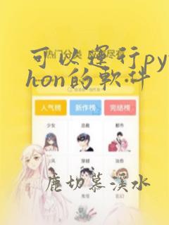 可以运行python的软件