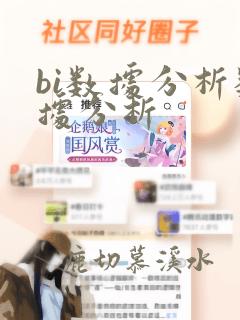 bi数据分析数据分析