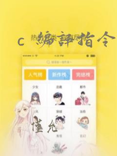 c  编译指令