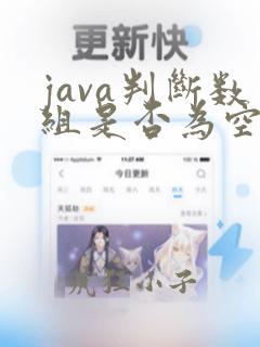 java判断数组是否为空的方法
