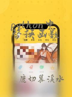 python中替换函数