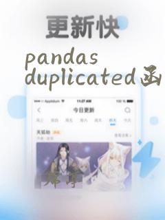 pandas duplicated函数