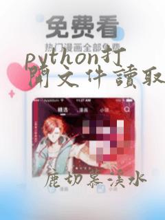python打开文件读取文件内容