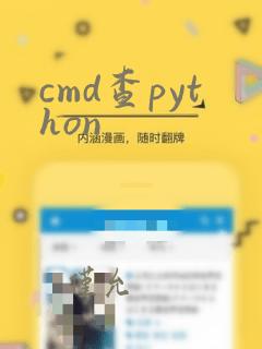 cmd查python