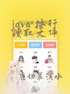 java 按行读取文件