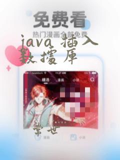 java 插入数据库