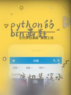 python的bin函数