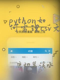 python如何处理csv文件