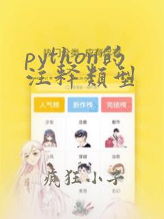 python的注释类型