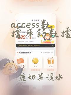 access数据库的数据类型