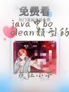 java中boolean类型的值是什么