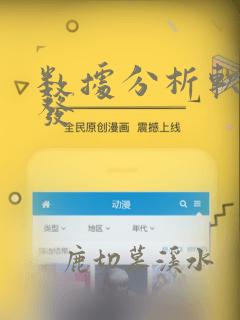 数据分析软件开发