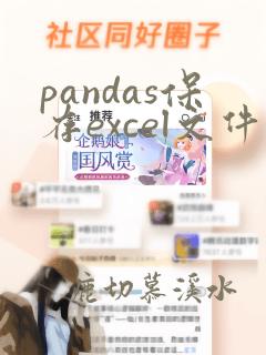 pandas保存excel文件