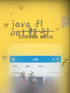 java float类型