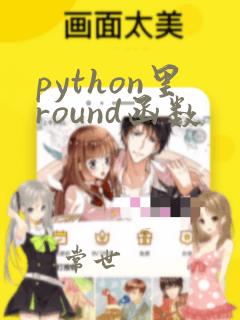 python里round函数