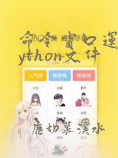 命令窗口运行python文件