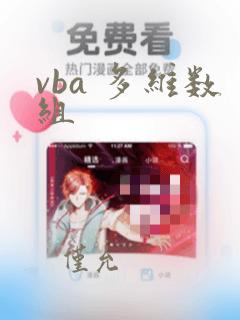 vba 多维数组