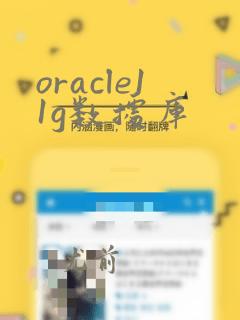 oracle11g数据库