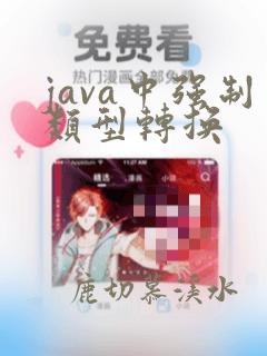 java中强制类型转换