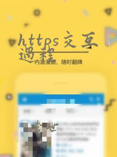 https交互过程