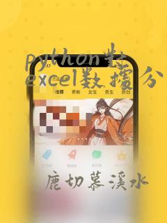 python对excel数据分析