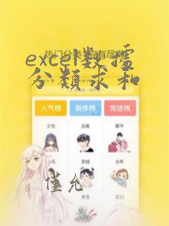 excel数据分类求和
