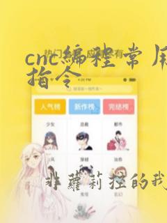 cnc编程常用指令