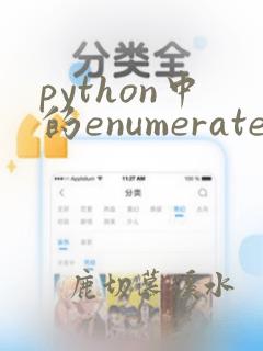 python中的enumerate