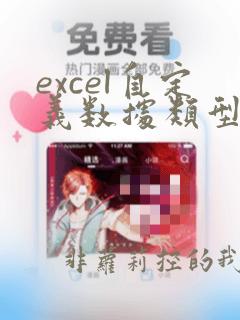 excel自定义数据类型
