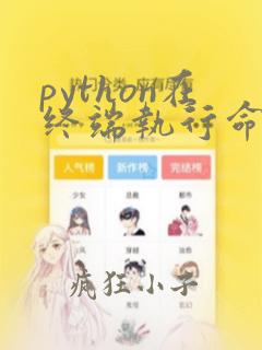 python在终端执行命令