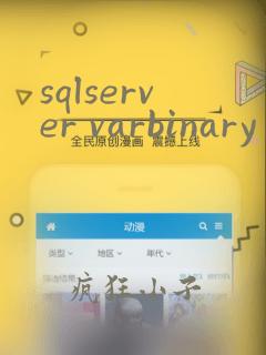 sqlserver varbinary