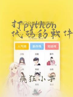 打python代码的软件